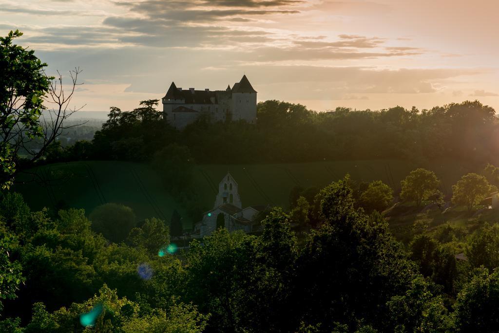 Chateau De Goudourville Villa Dış mekan fotoğraf