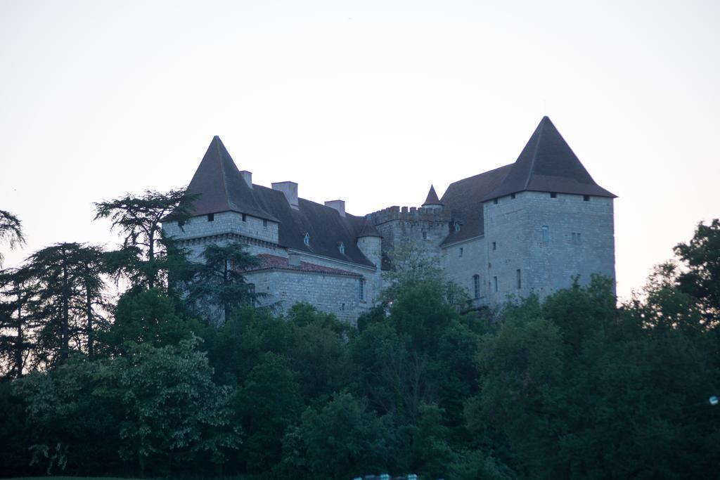 Chateau De Goudourville Villa Dış mekan fotoğraf